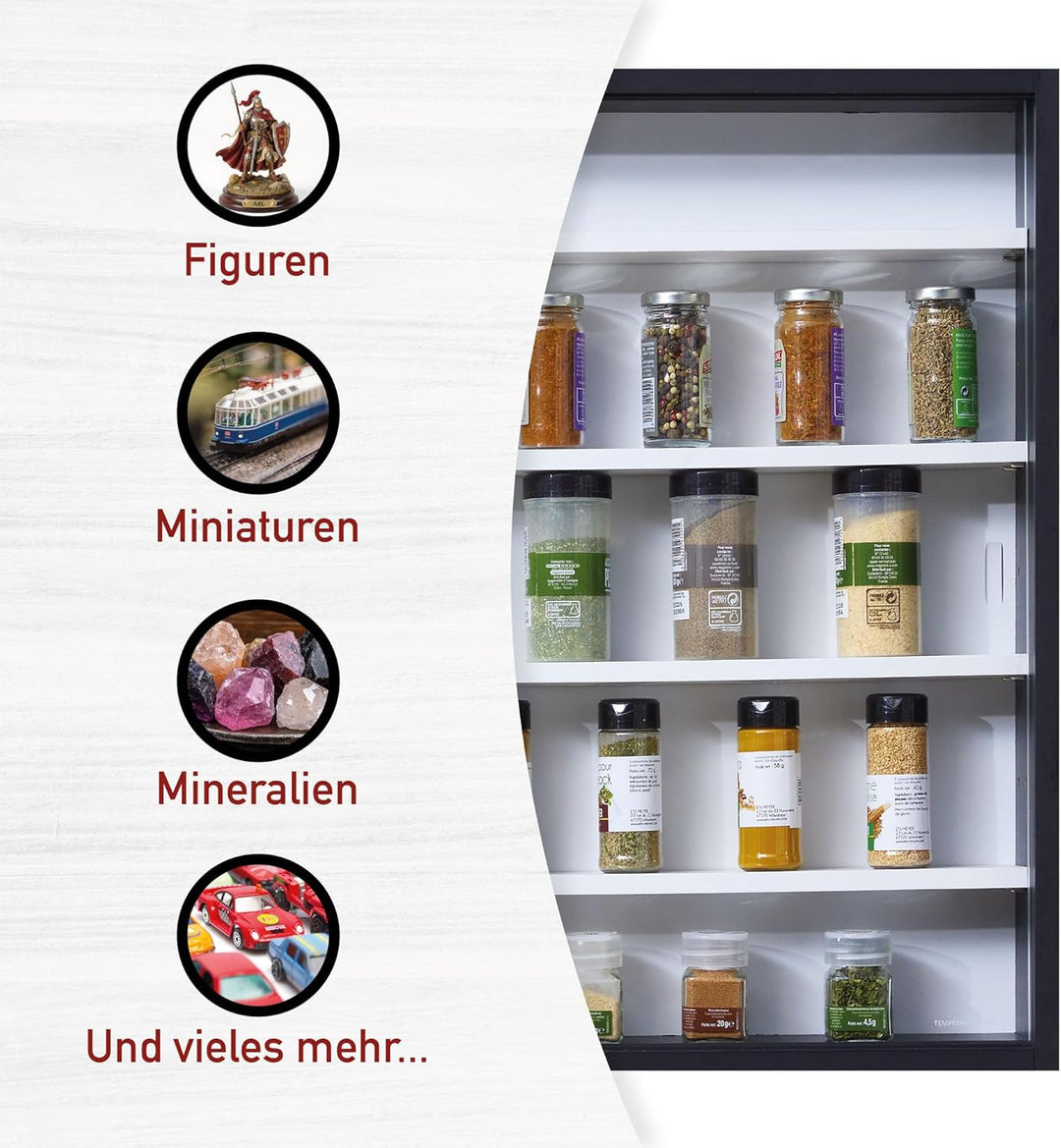 Inter Link - Sammlervitrine - Hängevitrine - Wandregal - Glasvitrine - Wandvitrine - Hängeregal - Sc
