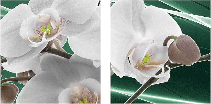 Runa Art Bild Modern Blumen Orchidee - Made in Germany - Wandbilder Natur Grün Grau 4 Teilig 203042b