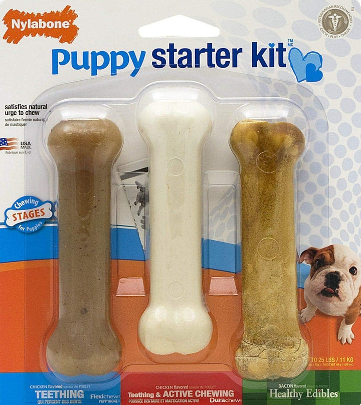 Nylabone Kauspielzeug für Welpen Starter Kit 3 Stück (1er Pack), 3 Stück (1er Pack)