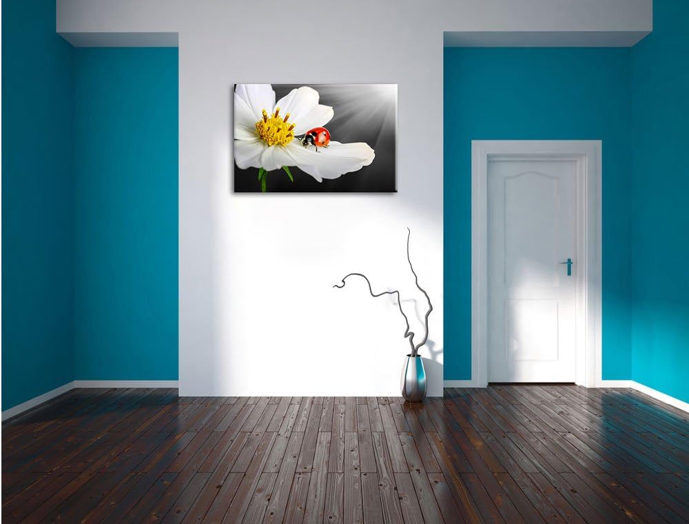 Pixxprint Marienkäfer auf Einer weissen Blume als Leinwandbild/Grösse: 100x70 cm/Wandbild/Kunstdruck