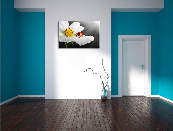 Pixxprint Marienkäfer auf Einer weissen Blume als Leinwandbild/Grösse: 100x70 cm/Wandbild/Kunstdruck