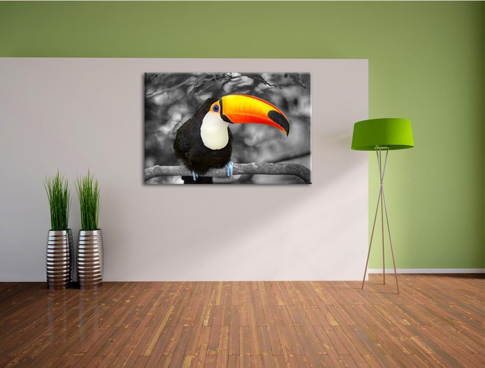 prachtvoller exotischer Tukan schwarz/weiss Format: 100x70 auf Leinwand, XXL riesige Bilder fertig g