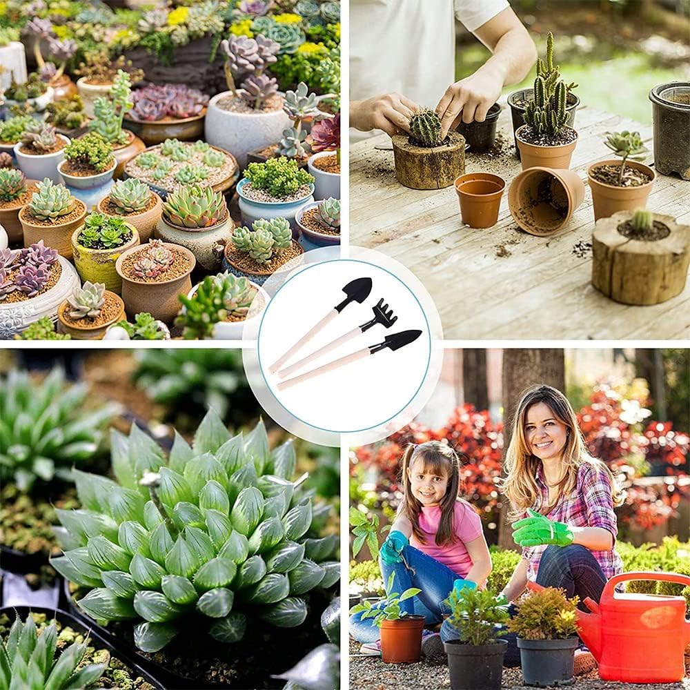 Amasawa 14 Stück Mini Garten Handwerkzeuge Set, Sukkulente Handwerkzeuge Set, Pflanz Handwerkzeuge S