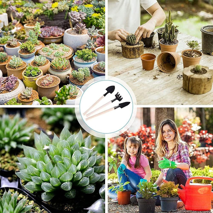 Amasawa 14 Stück Mini Garten Handwerkzeuge Set, Sukkulente Handwerkzeuge Set, Pflanz Handwerkzeuge S