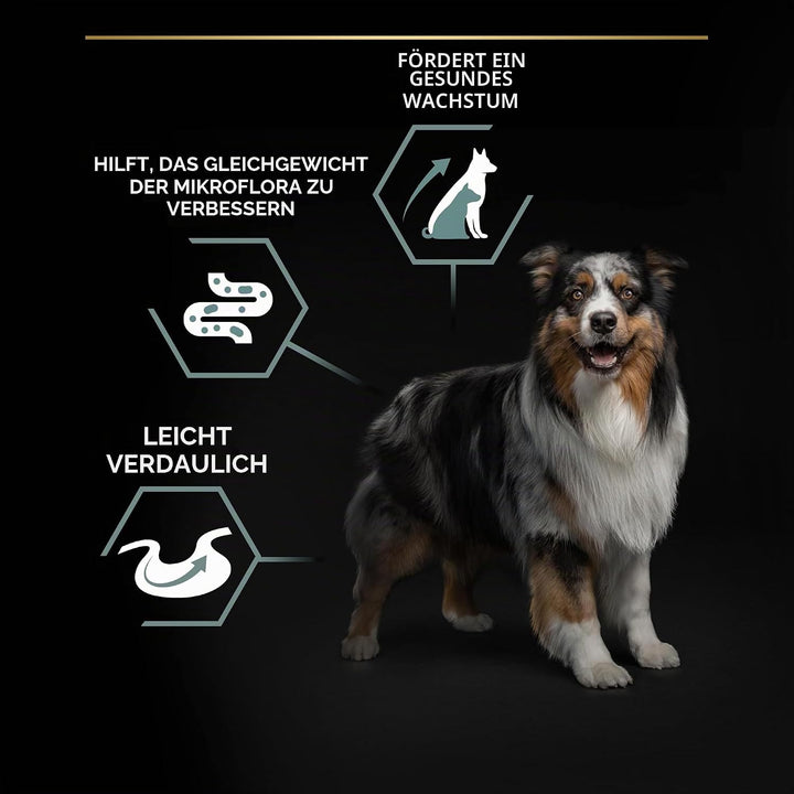 PURINA PRO PLAN GRAIN FREE Medium &amp; Large Adult Sensitive Digestion, Hundefutter trocken, reich an T