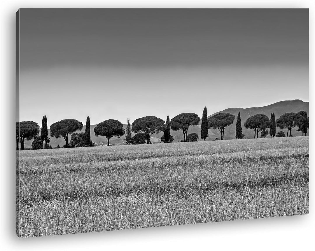 deyoli Toskana Landschaft mit Zypressen und Pinien Effekt: Schwarz/Weiss im Format: 60x40 als Leinwa