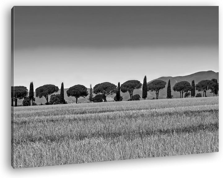 deyoli Toskana Landschaft mit Zypressen und Pinien Effekt: Schwarz/Weiss im Format: 60x40 als Leinwa