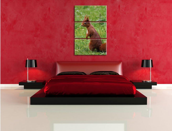 Pixxprint Eichhörnchen als Leinwandbild/Grösse: 3 Teilig (120x80) cm/Wandbild/Kunstdruck/fertig besp