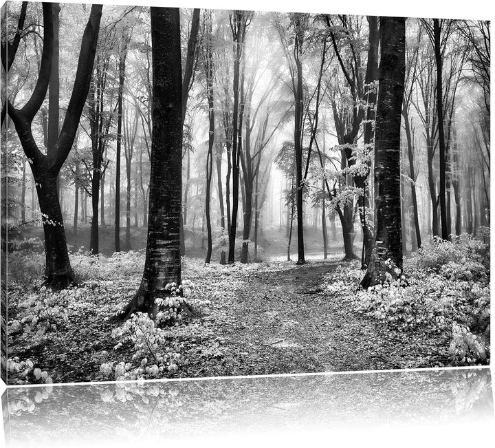 Pixxprint Sonniger Weg im Wald / 100x70cm Leinwandbild bespannt auf Holzrahmen/Wandbild Kunstdruck D