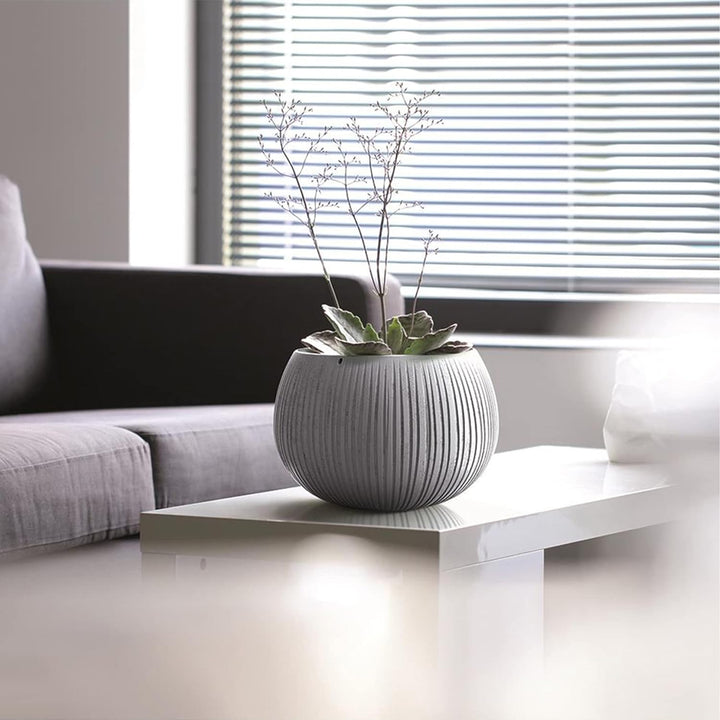 2x Prosperplast BETON BOWL de plástico CON depósito en color Cemento, 11 (alto) x 14,4 (ancho) x 14,