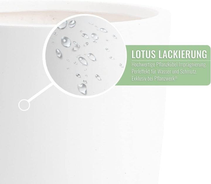 Pflanzwerk® Pflanzkübel Fiberglas Weiss Cup Ø27x26cm *Frostbeständige Blumenkübel* *Deutsche Premium
