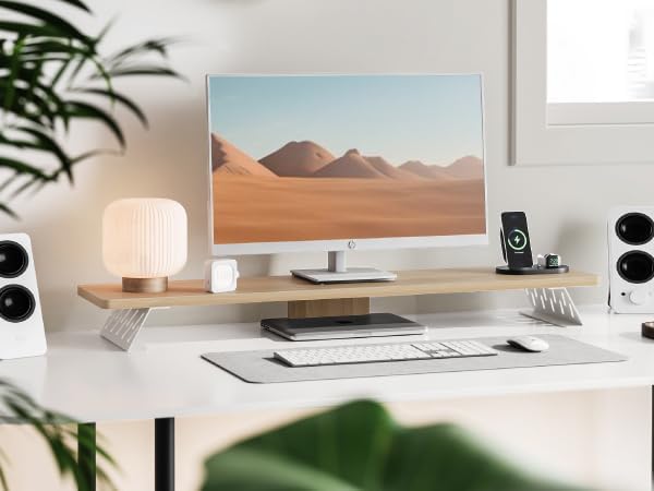 Fenge Dual Monitorständer mit Modernen Metallfüssen Multifunktionaler Bildschirmständer für Computer