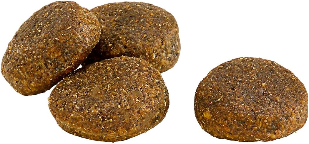 Dehner Wild Nature Hundetrockenfutter Adult, Unterholz, 4 kg & Wild Nature Hundetrockenfutter Adult,