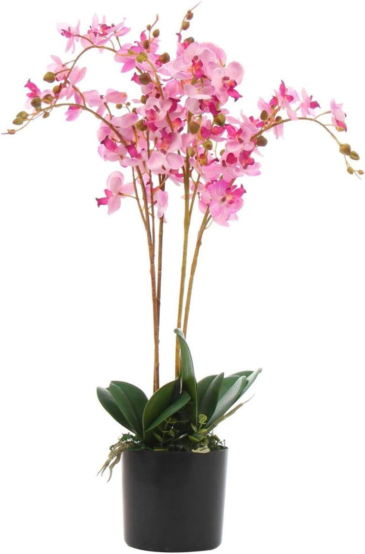 Leaf Kunstpflanze Orchideenblatt, realistisch, 60 cm, Rosa 60cm Pink, 60cm Pink