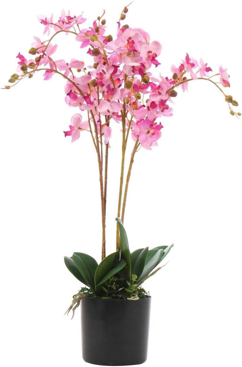 Leaf Kunstpflanze Orchideenblatt, realistisch, 60 cm, Rosa 60cm Pink, 60cm Pink