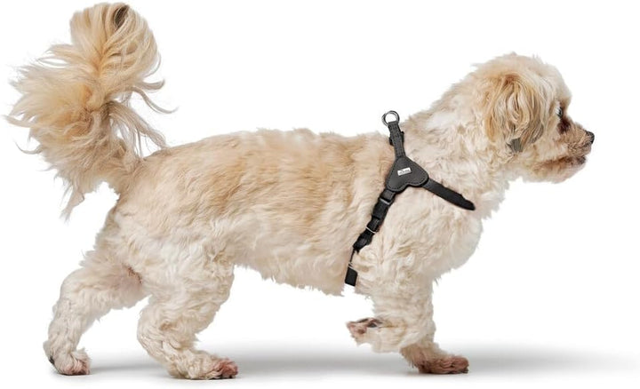 Hunter Hundegeschirr SOHO MINI, Farbe: schwarz, Rindsleder, weich & geschmeidig, fellschonend, leich