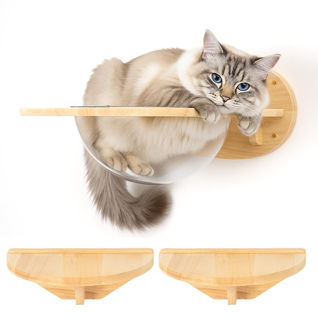 Cat Wall Climbing set Kletterwand Katzen katzenhöhle wand Katzenwandmöbel Set, aus Massives Gummihol