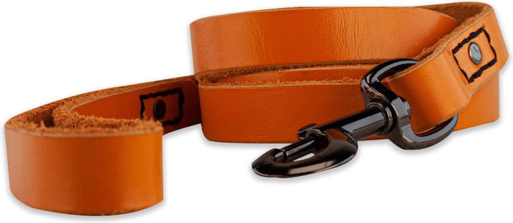 Leder Hundeleine - mit Naht - 220cm - Orange/schwarz Orange/Schwarz 220cm, Orange/Schwarz 220cm