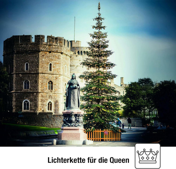 hellum Lichterkette aussen Weihnachten, Lichterkette Weihnachtsbaum Made-in-Germany, 11,2m Lichterke