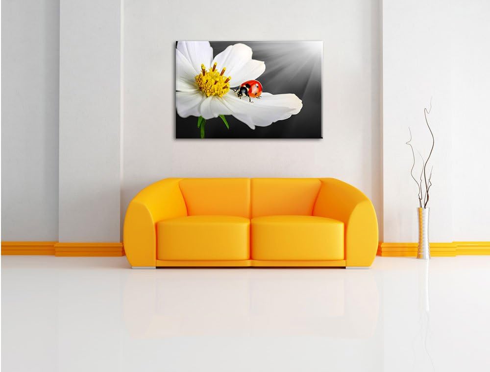 Pixxprint Marienkäfer auf Einer weissen Blume als Leinwandbild/Grösse: 100x70 cm/Wandbild/Kunstdruck