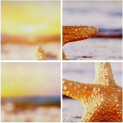 Bilder auf Leinwand 100x70cm Leinwandbild Starfish Strand Sand Ozean Gross Wanddeko Bild Schlafzimme