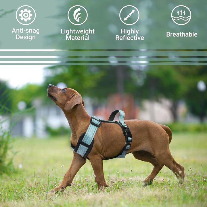 Hundegeschirr Grün XL - Brustgeschirr Hund Mittel Reflektierend Anti zieh Hunde Geschirr Hund Zugges