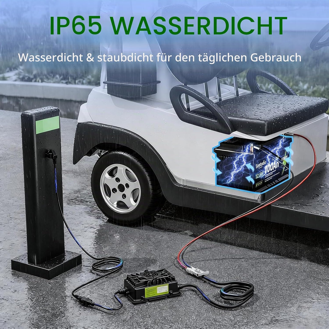20 A LiFePO4 Batterieladegerät, 12 V/12,8 V Lithium-Batterie-Ladegerät mit Anderson-Anschluss, LED-A
