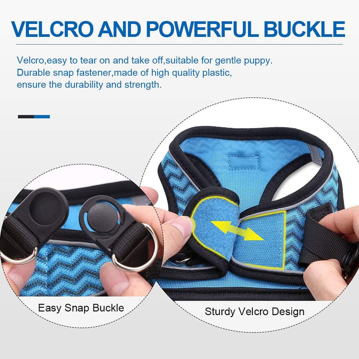 Suredoo Hundegeschirr mit Leine, Anti Zug Geschirr Reflektierend Brustgeschirr für Kleine Hunde, Hau