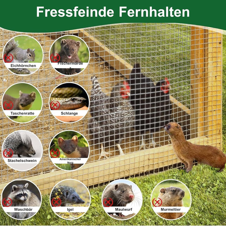 Amagabeli 0.5M X 25M Wühlmausgitter Volierendraht Maschendraht Kaninchendraht 12.7mm verzinkt punktv