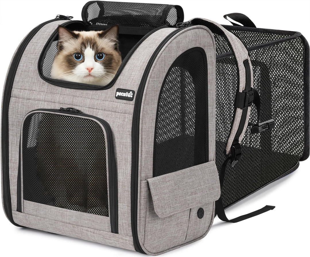 pecute Hunderucksack Erweiterbar XL für 6-10 kg, Faltbar Katzenrucksack Katzen mit Anti-offener Reis