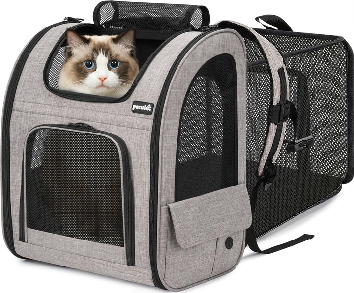 pecute Hunderucksack Erweiterbar XL für 6-10 kg, Faltbar Katzenrucksack Katzen mit Anti-offener Reis