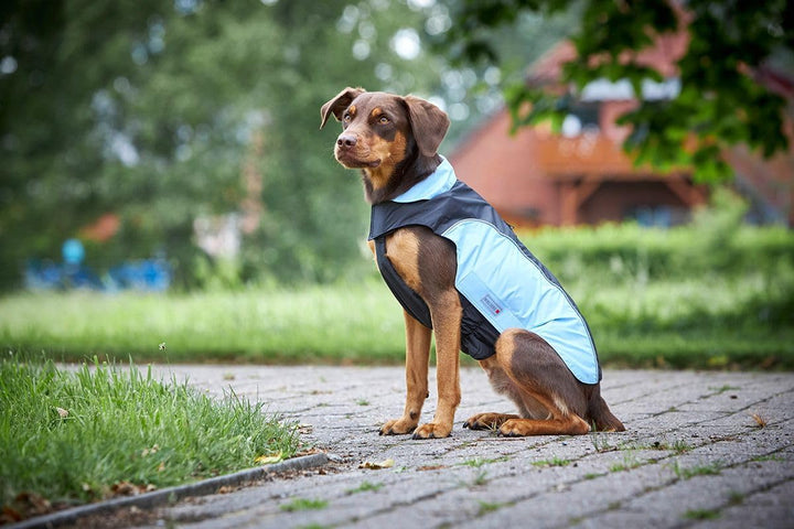 Wolters Regenjacke Easy Rain.., Grösse:65 cm, Farbe:blau 65 cm blau, 65 cm blau