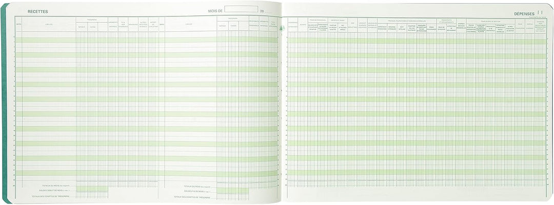 EXACOMPTA Geschäftsbuch "Recettes/Dépenses professions libé-
