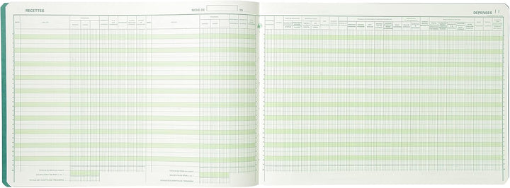 EXACOMPTA Geschäftsbuch "Recettes/Dépenses professions libé-