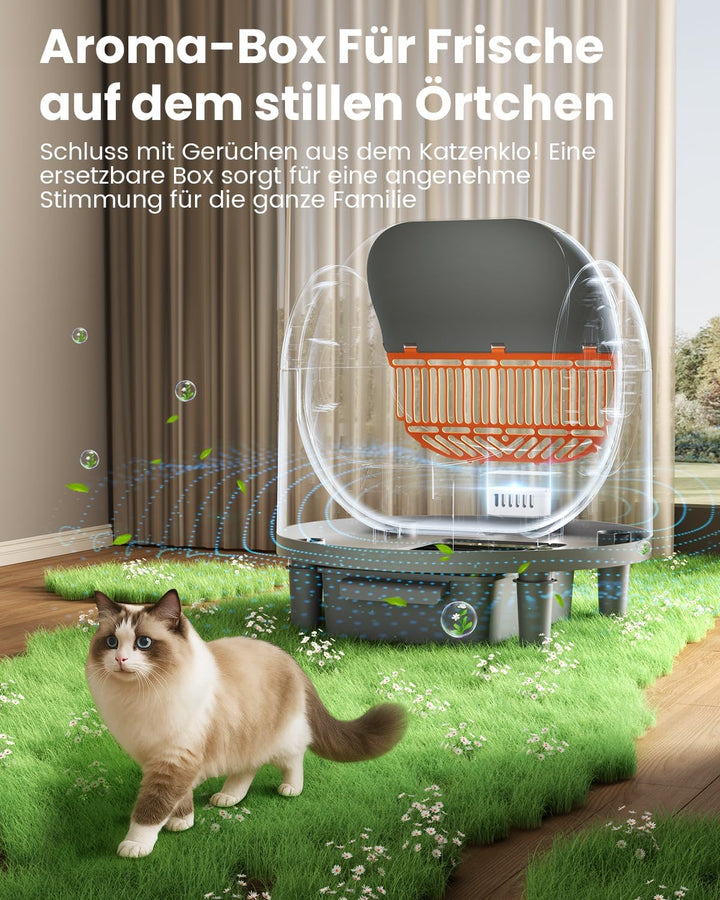 Offenes, Katzenklo Selbstreinigend für grosse Katzen (10 kg), XL Automatische Katzentoilette, 2 Roll