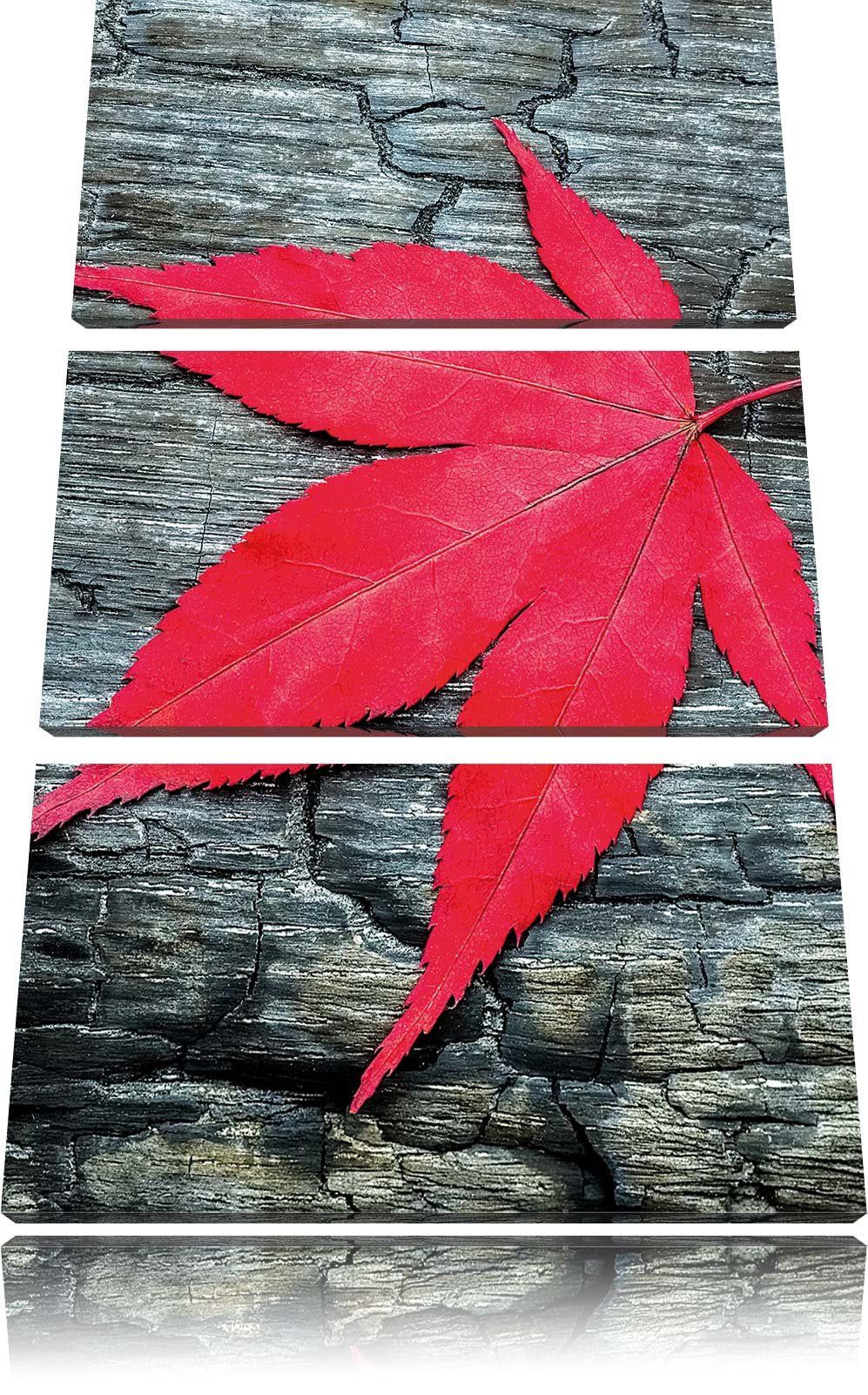 Pixxprint Blatt auf Holz Natur als Leinwandbild/Grösse: 3 Teilig (120x80) cm/Wandbild/Kunstdruck/fer