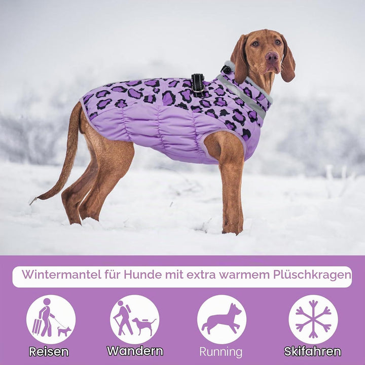 Kuoser Hundemantel Winter für Kleine Hunde Wasserdicht Winddicht, S | Wasserdicht Hundejacke mit Fle