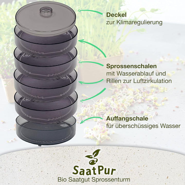 SaatPur® Keimsprossenbox Set 4 mit Vier Etagen als Sprossen Keimgerät: Sprossen Anzucht sowie Microg