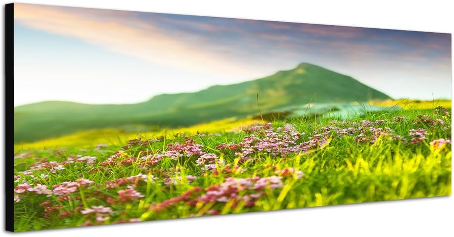 Paul Sinus Art Panoramabild auf Leinwand und Keilrahmen 150x50cm Wiese Blumen Berge Frühling Natur