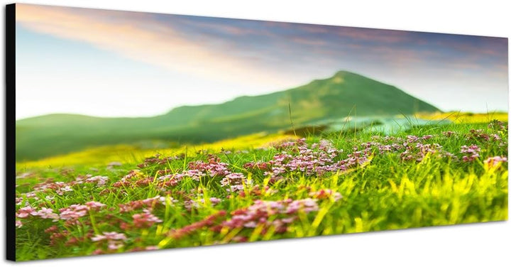 Paul Sinus Art Panoramabild auf Leinwand und Keilrahmen 150x50cm Wiese Blumen Berge Frühling Natur