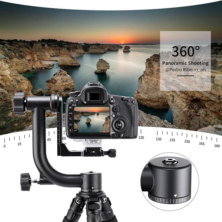 K&amp;F Concept Aluminium Gimbalkopf, Professional Heavy Duty Metall 360° Panorama Stativkopf mit 20 KG