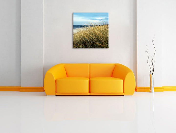 Schilf Gras am Ufer, Format: 70x70 auf Leinwand, XXL riesige Bilder fertig gerahmt mit Keilrahmen, K