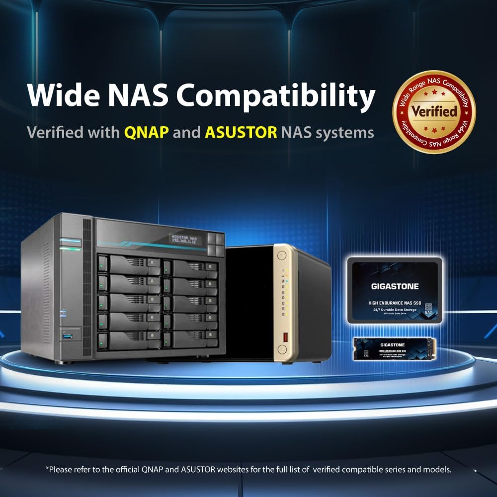 Gigastone NAS SSD 1TB Enterprise SSD Festplatte (2er-Pack) TLC Hohe Dauerhaltbarkeit Server SSD für