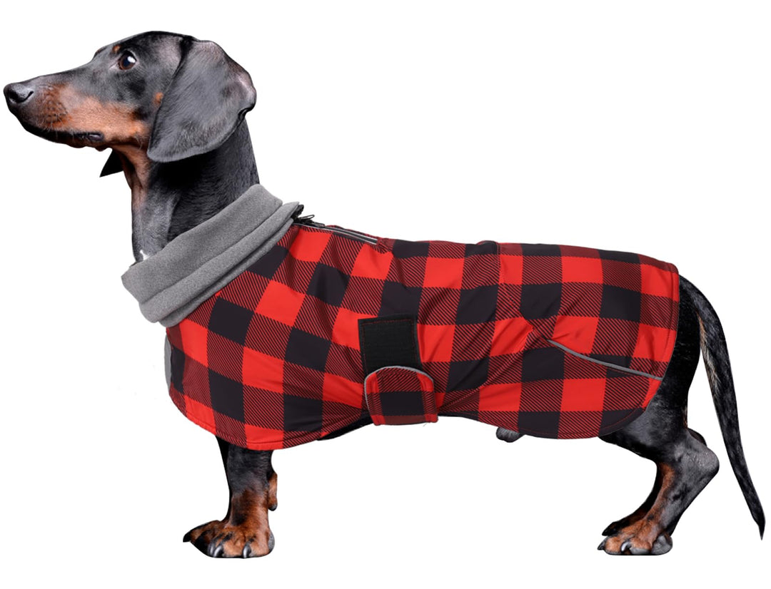 MOREZI Hundejacke ist eine wasserdichte, mit Fleece gefütterte Hundewinterjacke mit verstellbarem Gü