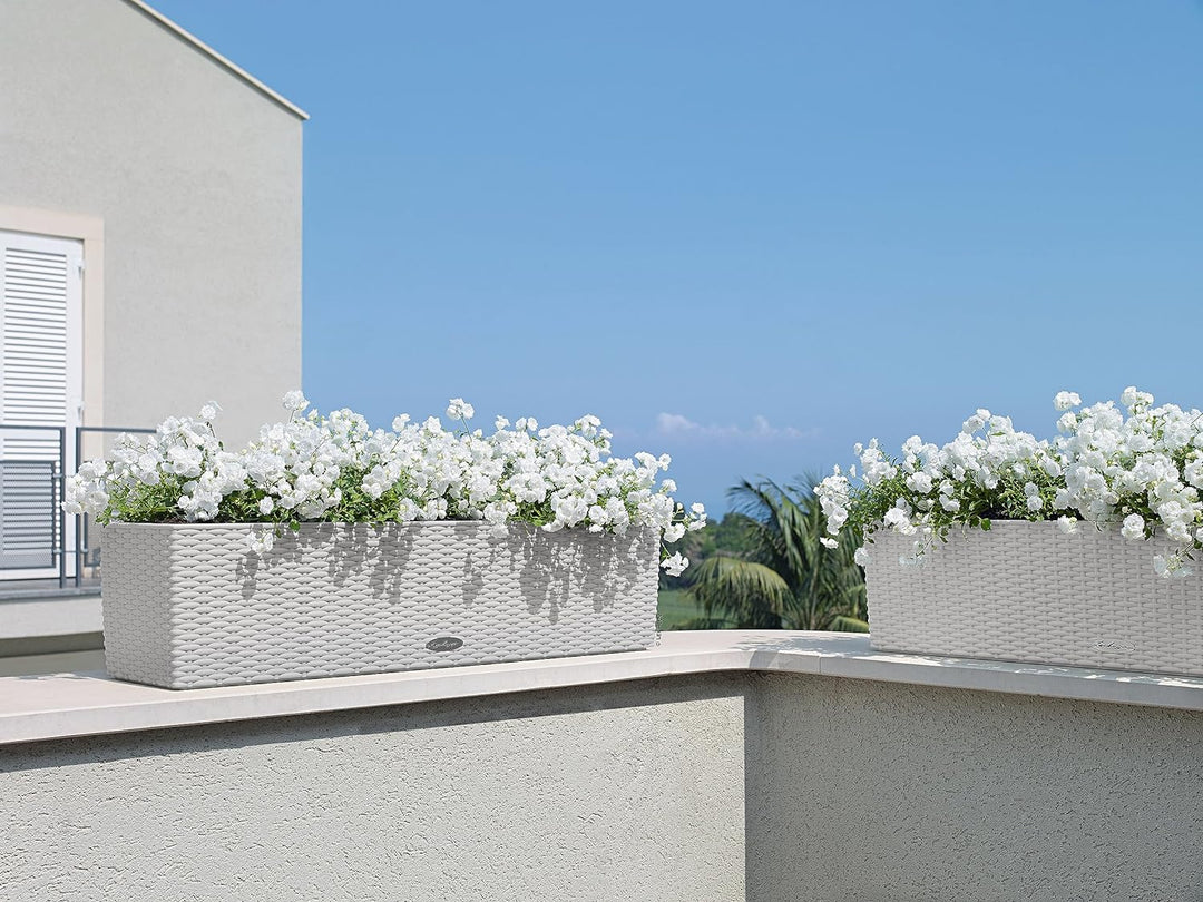 LECHUZA BALCONERA Cottage 80 lichtgrau 15457 Pflanzgefäss mit Erd-Bewässerungs-System 79x19x19 cm Li