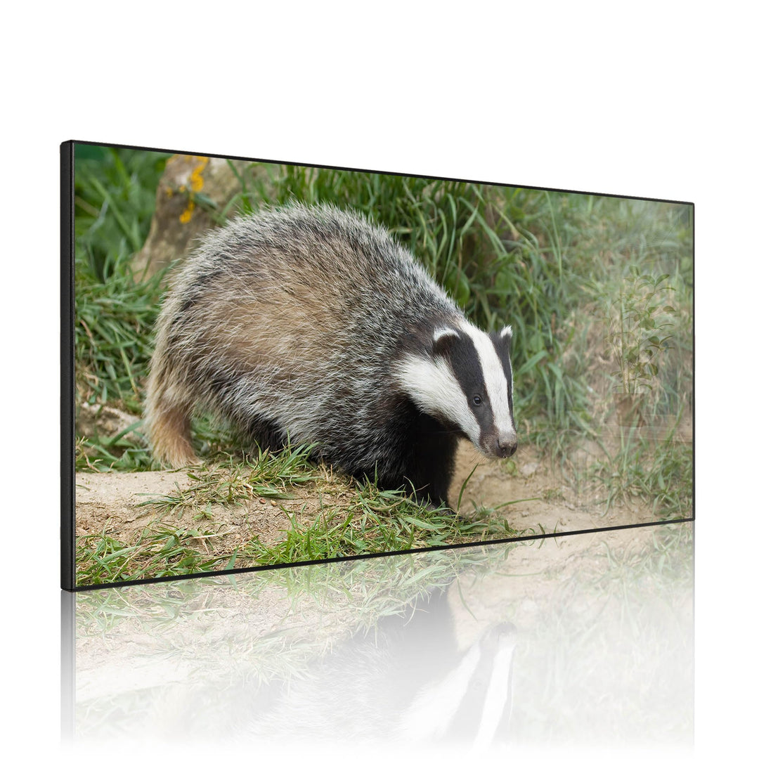 banjado Magnettafel schwarz 78 x 37cm / Magnetwand Metall/Magnetpinnwand als Memoboard/Pinnwand Magn