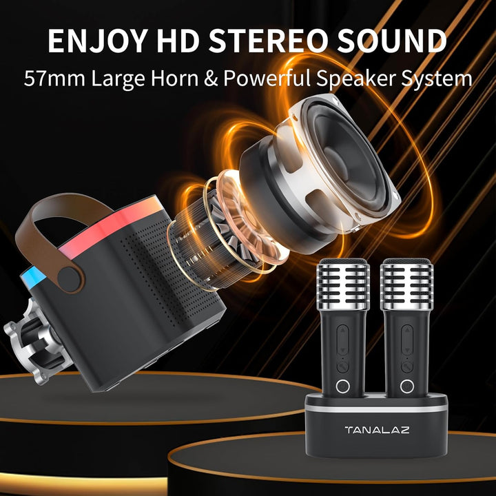Karaoke-Maschine mit 2 drahtlosen Mikrofonen & Mikrofonbasis, Mini-Bluetooth-Singlautsprecher mit LE