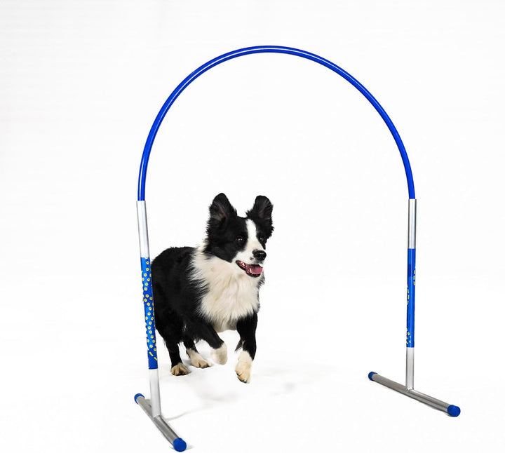 6 x Hoopers Agility Hoops - NADAC Hoopers Agility Hoops (Grosspackung) ALU Hoops (ohne Mittelstrebe)