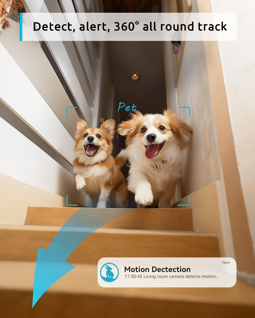 blurams Überwachungskamera Innen, 2K WLAN Kamera Innen, 360° Haustierkamera mit App, AI Bewegungserk