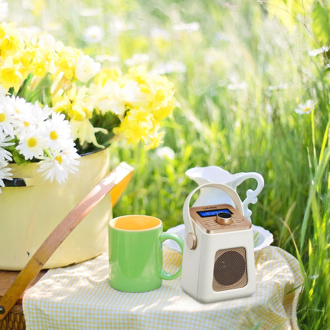 UEME Mini DAB+ DAB Digitalradio und UKW Radio mit Bluetooth Lautsprecher, Radiowecker, und Leder Ver